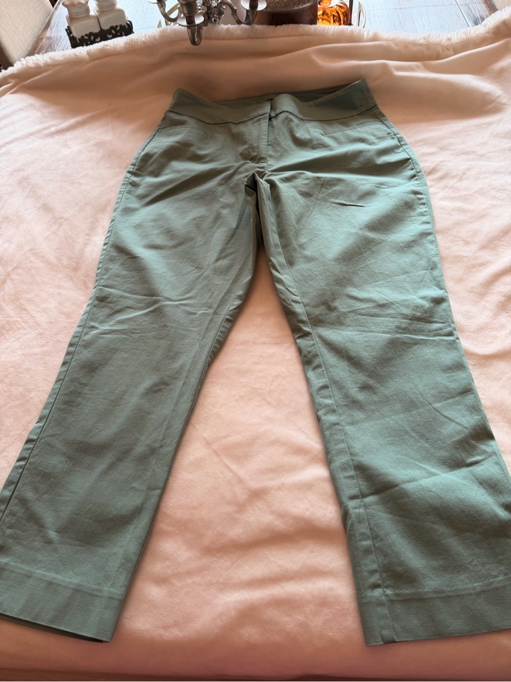 Ann Taylor Wide-Leg Pants in Sage Green